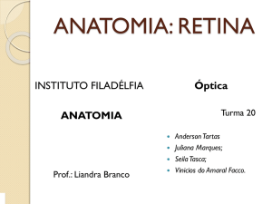 retina.pps - Óptica Tomazeli