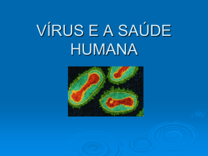 virus_e_a_saude_humana