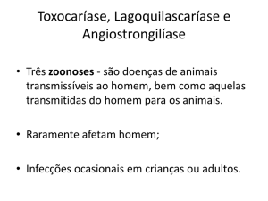 7 Toxocara, Angiostrongilus, Lagochilascaris