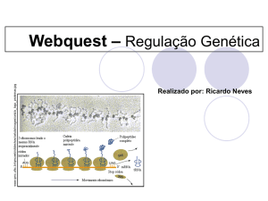 Webquest - "Regulação Genética"