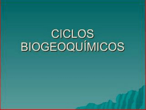 Ciclos_BiogeoquImicos_Prof_Theomaris_1ANO
