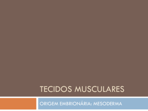 Tecidos Musculares