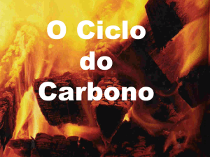Ciclo do Carbono