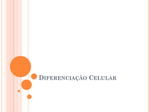 Aula 10 - Diferenciação Celular