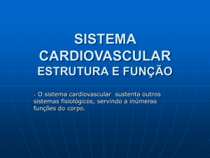 sistema cardiovascular estrutura e função