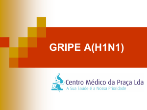 GRIPE A - SlideBoom