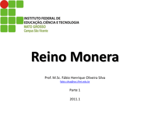 Reino Monera - Professor Fabio Henrique Silva