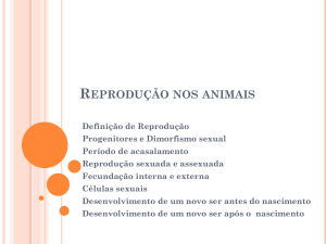 REPRODUÇÃO NOS ANIMAIS Definição de Reprodução