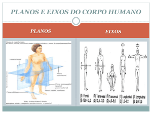 planos eixos planos e eixos do corpo humano