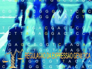 Eucariontes Níveis de Regulação da Expressão Genética em