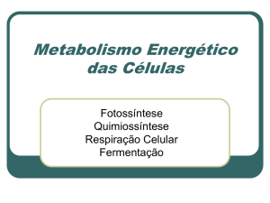 Metabolismo Energético das Células