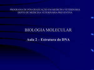 Aula 2-2012 - Setor de Virologia UFSM