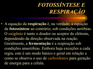 Fotossíntese e respiração - Fernando Santiago dos Santos