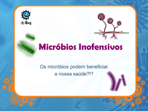 Micróbios Úteis - e-Bug