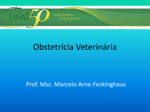 Obstetrícia Veterinária