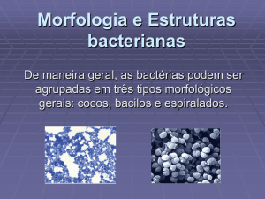 Morfologia e Estruturas bacterianas
