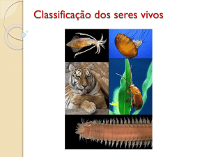 Classificação dos seres vivos REVISÃO - biologiahoje
