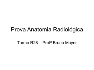 Prova Anatomia Radiológica