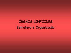 ÓRGÃOS LINFÓIDES