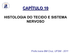 Slide 1 - bionline-ufsm