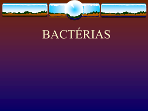 bactérias - Colégio Machado de Assis