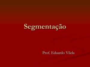 SEGMENTAÇÃO