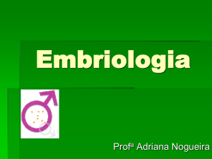 Embriologia - WebLiessin