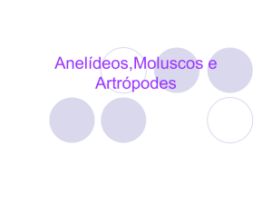 Anelídeos,Moluscos e Artrópodes - prof-nair