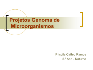 Projeto Genoma em Microorganismo