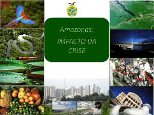 O Amazonas e a Crise