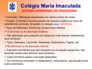 Sistema Hormonal - Colégio Maria Imaculada
