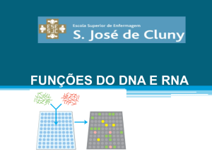 replicação do dna