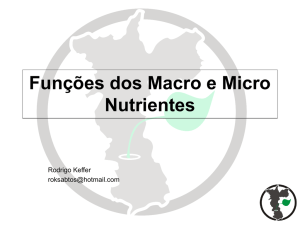 Funções dos Macro e Micro Nutrientes