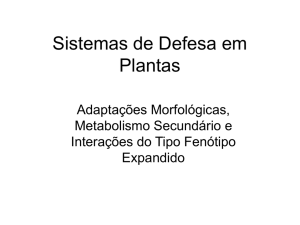 Plantas  - ICB-USP