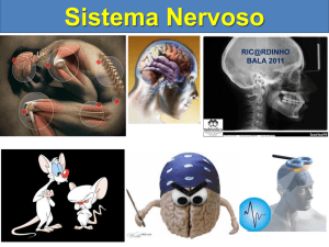 Sistema Nervoso Neur&ocirc;nio