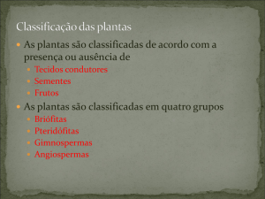 Classificação das plantas