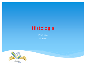 Histologia - WebLiessin