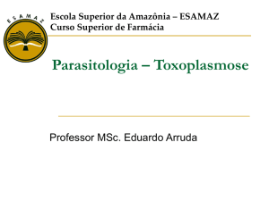 Toxoplasmose - Blog do Eduardo Arruda