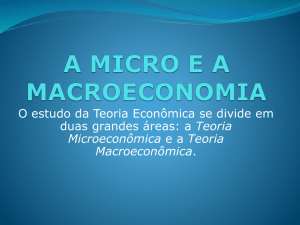 a micro e a macroeconomia