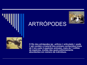 artrópodes - Colégio Sao José