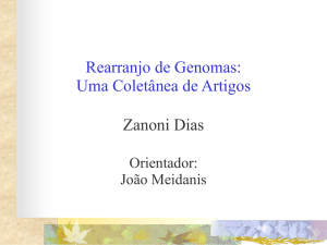 Rearranjo de Genomas: Uma Coletânea de Artigos Zanoni Dias