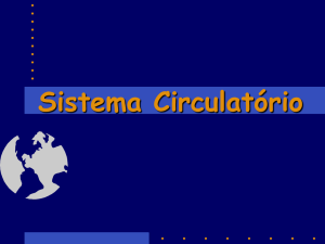 Sistema Circulatório