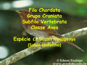 Classe Aves Morf Interna