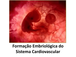 Sistema Cardiovascular