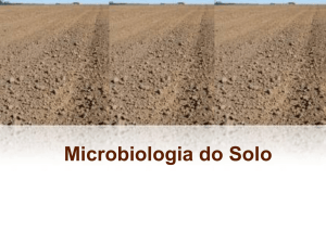 Microbiologia do Solo