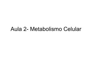 Aula 2- Metabolismo Celular