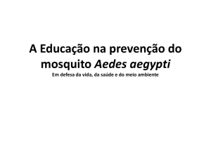 Apresentação do PowerPoint - Fórum Nacional de Educação