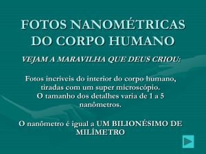 FOTOS NANOMÉTRICAS DO CORPO HUMANO.pps