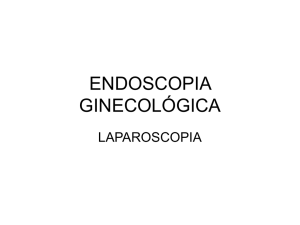 endoscopia ginecológica