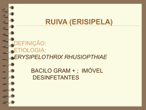 ruiva - UFSM